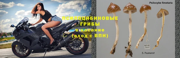 мяу мяу кристалл Алексин