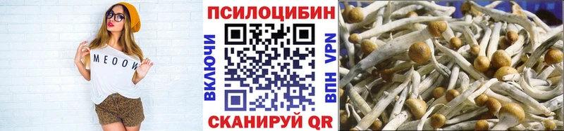 где купить наркоту  Петровск-Забайкальский  Псилоцибиновые грибы Magic Shrooms 