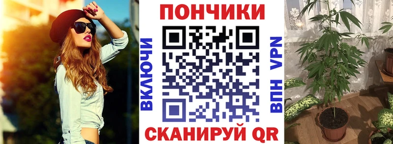 Конопля Bruce Banner где найти наркотики Петровск-Забайкальский